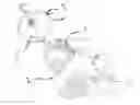 Fig. 01 - Parachute