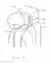 Fig. 06 - Parachute