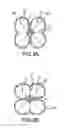 Fig. 04 - Evacuation slide with beam structure comprising four-point cross section