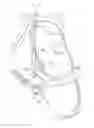Fig. 01 - BRIDLE NOSEBAND