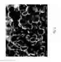 Fig. 03 - Molecular sieve SSZ-105