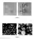 Fig. 02 - High surface area layered double hydroxides