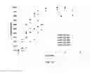 Fig. 15 - SYSTEM AND METHOD FOR GENERATION OF REACTIVE OXYGEN SPECIES AND APPLICATIONS THEREOF