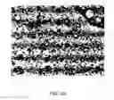 Fig. 02 - WATER-RESISTANT GYPSUM PRODUCTS AND METHODS