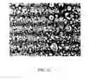Fig. 04 - WATER-RESISTANT GYPSUM PRODUCTS AND METHODS