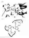 Fig. 04 - THERAPEUTIC COMPOUNDS AND METHODS
