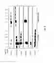 Fig. 03 - Antifibrotic effects of oxetanyl sulfoxides