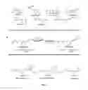 Fig. 07 - Phenyl-substituted nicotinic ligands, and methods of use thereof