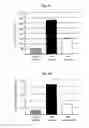 Fig. 05 - MULTIFUNCTIONAL NITROXIDE DERIVATIVES AND USES THEREOF