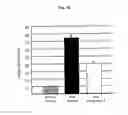 Fig. 06 - MULTIFUNCTIONAL NITROXIDE DERIVATIVES AND USES THEREOF