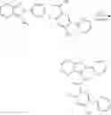 Fig. 80 - TrkA kinase inhibitors, compositions and methods thereof
