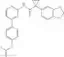 Fig. 116 - MODULATORS OF ATP-BINDING CASSETTE TRANSPORTERS