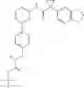 Fig. 217 - MODULATORS OF ATP-BINDING CASSETTE TRANSPORTERS