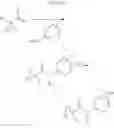 Fig. 481 - MODULATORS OF ATP-BINDING CASSETTE TRANSPORTERS