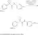 Fig. 511 - MODULATORS OF ATP-BINDING CASSETTE TRANSPORTERS