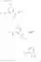 Fig. 72 - AMINOPYRAZOLONE DERIVATIVE
