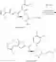 Fig. 176 - Substituted nitrogen-containing heterocyclic derivatives, pharmaceutical compositions comprising the same and applications of antitumor thereof