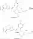 Fig. 181 - Substituted nitrogen-containing heterocyclic derivatives, pharmaceutical compositions comprising the same and applications of antitumor thereof