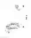 Fig. 04 - Small molecule transcription modulators of bromodomains