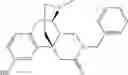 Fig. 50 - Azamorphinan derivatives and use thereof