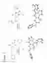 Fig. 03 - Pharmacophore for trail induction