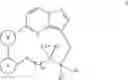 Fig. 03 - Macrocyclic compounds as TRK kinase inhibitors