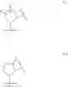 Fig. 07 - Macrocyclic compounds as TRK kinase inhibitors