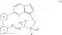 Fig. 32 - Macrocyclic compounds as TRK kinase inhibitors