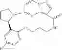 Fig. 53 - Macrocyclic compounds as TRK kinase inhibitors