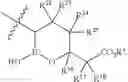Fig. 04 - Beta-lactamase inhibitors