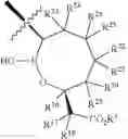Fig. 11 - Beta-lactamase inhibitors