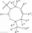 Fig. 19 - Beta-lactamase inhibitors