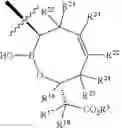 Fig. 21 - Beta-lactamase inhibitors