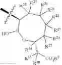 Fig. 41 - Beta-lactamase inhibitors