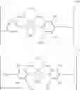 Fig. 19 - Salen complexes with dianionic counterions