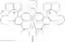 Fig. 211 - Salen complexes with dianionic counterions