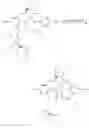 Fig. 261 - Salen complexes with dianionic counterions