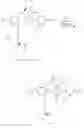 Fig. 263 - Salen complexes with dianionic counterions