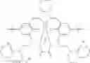 Fig. 95 - Salen complexes with dianionic counterions