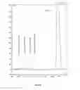 Fig. 12 - Flavonoids O-A-glucosylated on the B cycle, method for the production thereof and uses