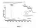 Fig. 20 - Flavonoids O-A-glucosylated on the B cycle, method for the production thereof and uses