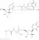 Fig. 125 - HCV polymerase inhibitors