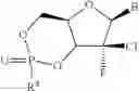 Fig. 13 - HCV polymerase inhibitors