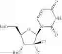 Fig. 160 - HCV polymerase inhibitors