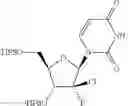 Fig. 161 - HCV polymerase inhibitors