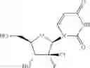 Fig. 30 - HCV polymerase inhibitors