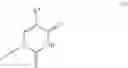 Fig. 48 - HCV polymerase inhibitors