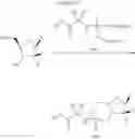 Fig. 54 - HCV polymerase inhibitors