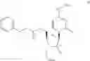 Fig. 07 - Gemcitabine prodrugs and uses thereof