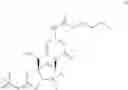 Fig. 23 - Gemcitabine prodrugs and uses thereof